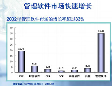 彻底调查:2002-03中国IT产业年度报告(多图表)
